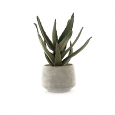 ARTIFICIAL CACTUS