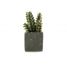 ARTIFICIAL CACTUS