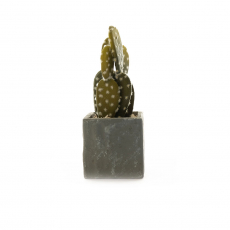 ARTIFICIAL CACTUS