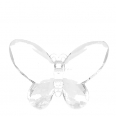 BUTTERFLY ACRYLIC