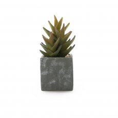 ARTIFICIAL CACTUS